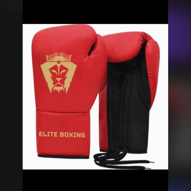 Elite Professional Gloves 160oz - 2